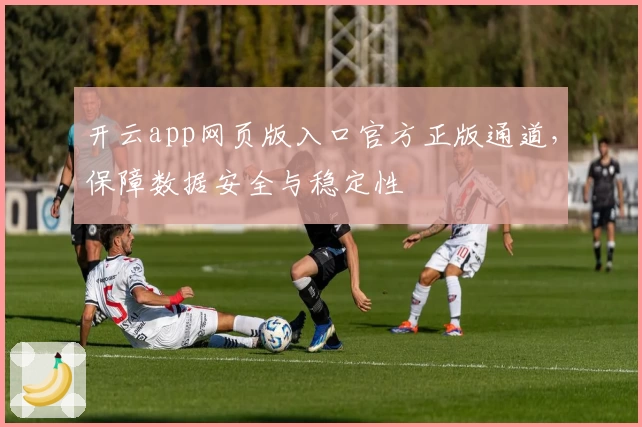 开云app网页版入口官方正版通道，保障数据安全与稳定性