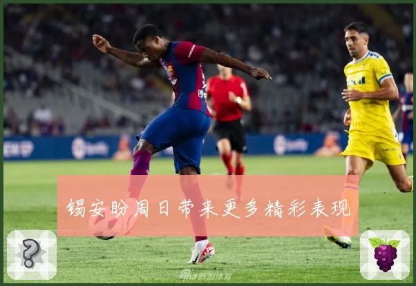 锡安盼周日带来更多精彩表现