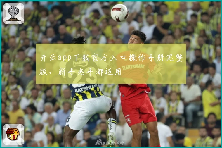 开云app下载官方入口操作手册完整版，新手老手都适用