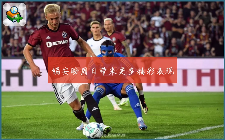 锡安盼周日带来更多精彩表现