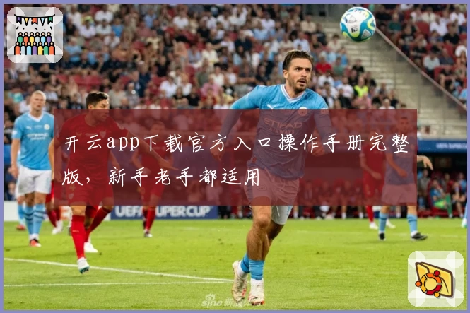 开云app下载官方入口操作手册完整版，新手老手都适用