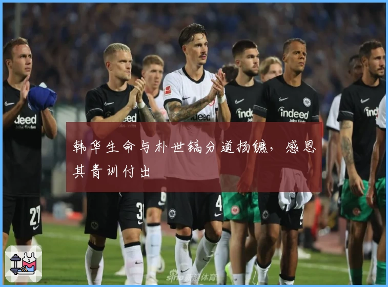 韩华生命与朴世镐分道扬镳，感恩其青训付出