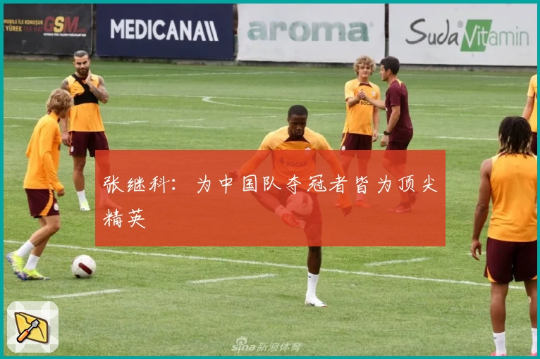 张继科：为中国队夺冠者皆为顶尖精英